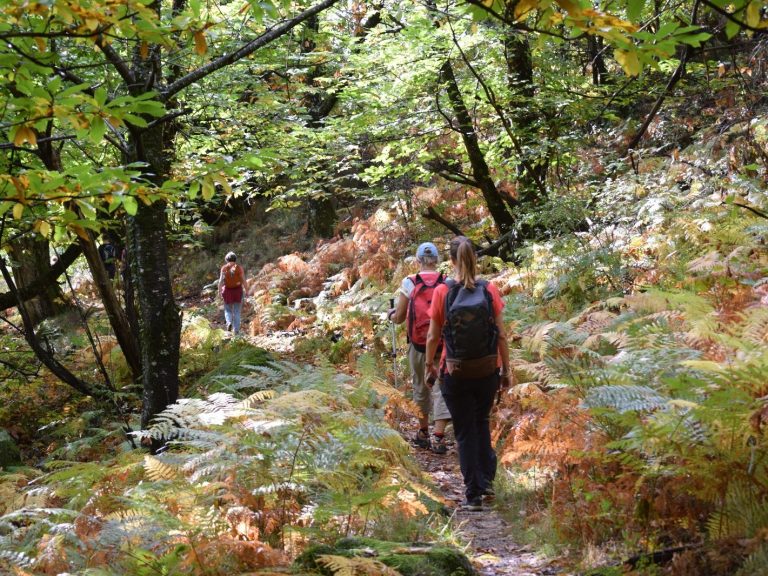 Une ancienne maison en pierre entourée de verdure et de collines.