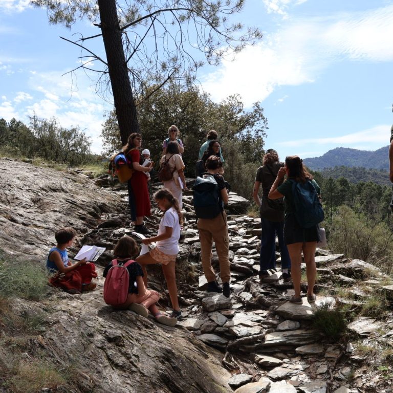 Groupe de personnes contemplant un paysage montagneux.