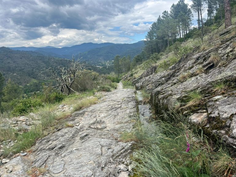 Sentier rocailleux traversant une vallée verdoyante sous un ciel nuageux.