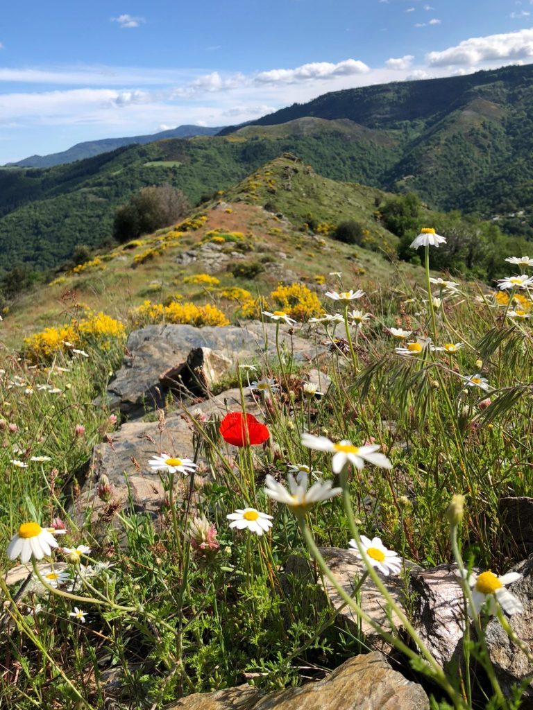 randonnées guidées cévennes