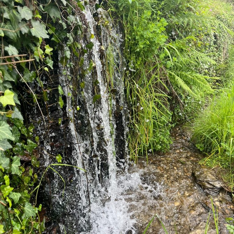 rando date été cévennes sortie