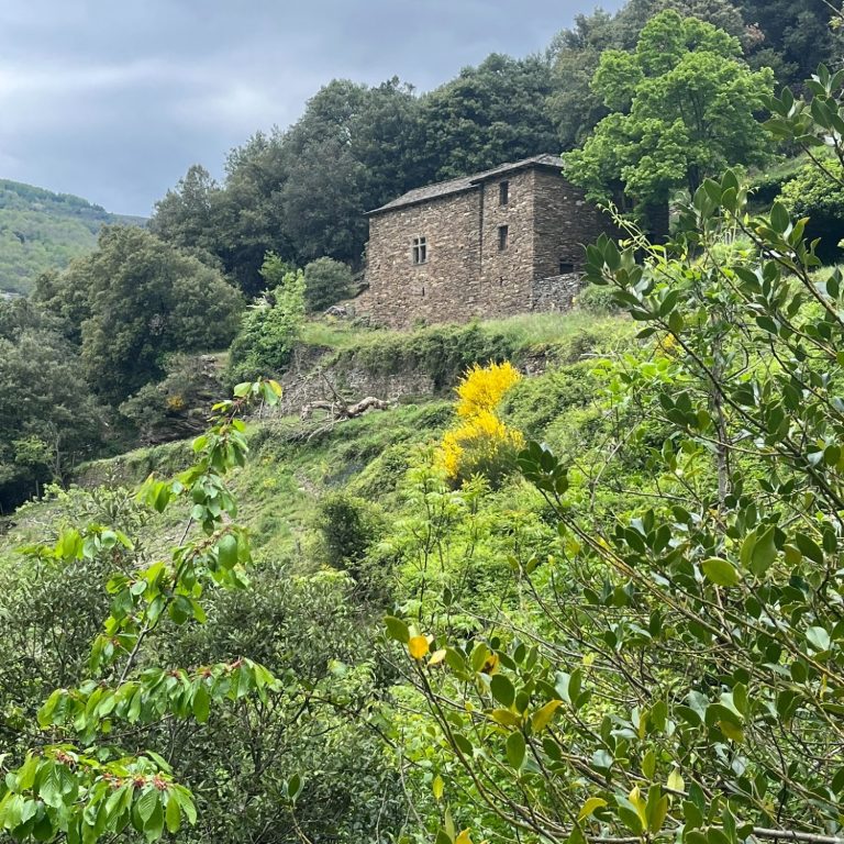 randonnée Cévennes