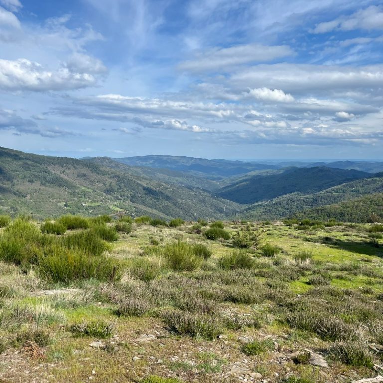 Vastes collines verdoyantes sous un ciel nuageux, un paysage de montagne serein.